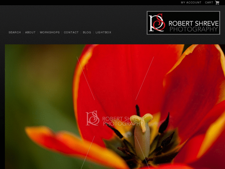 www.robertshrevephotography.com