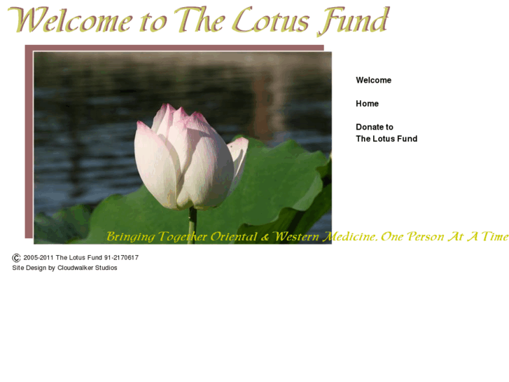 www.thelotusfund.org