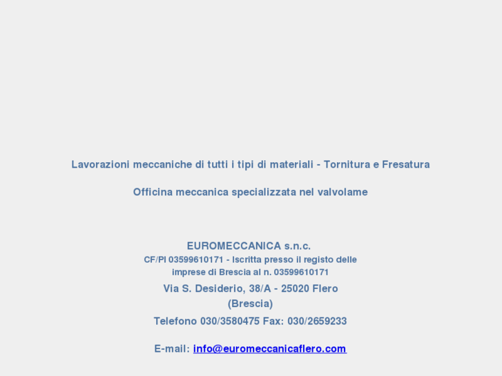 www.euromeccanicaflero.com