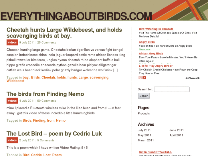 www.everythingaboutbirds.com