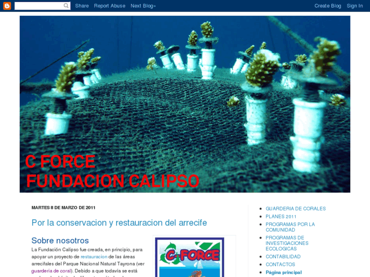 www.fundacioncalipso.org