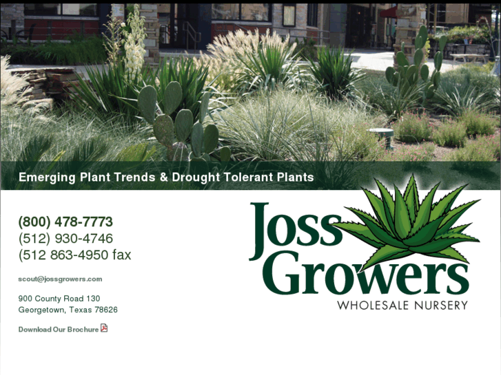 www.jossgrowers.com