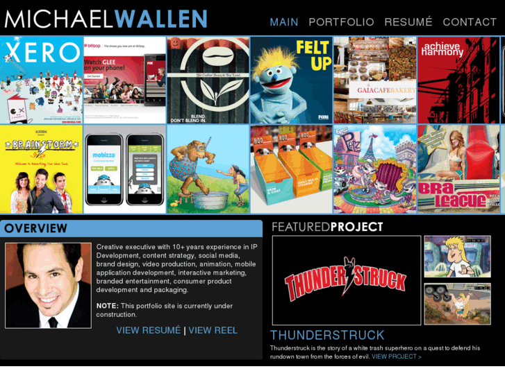 www.michaeltwallen.com