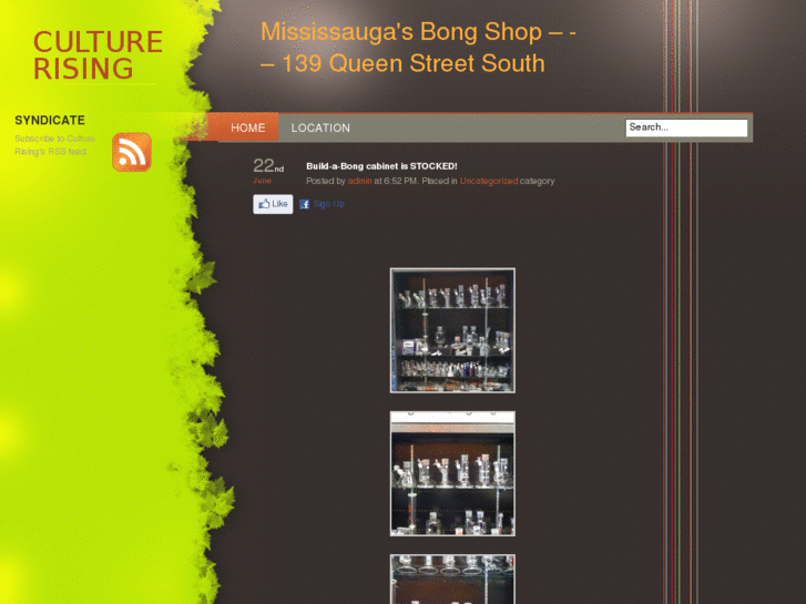 www.mississaugabongshop.com