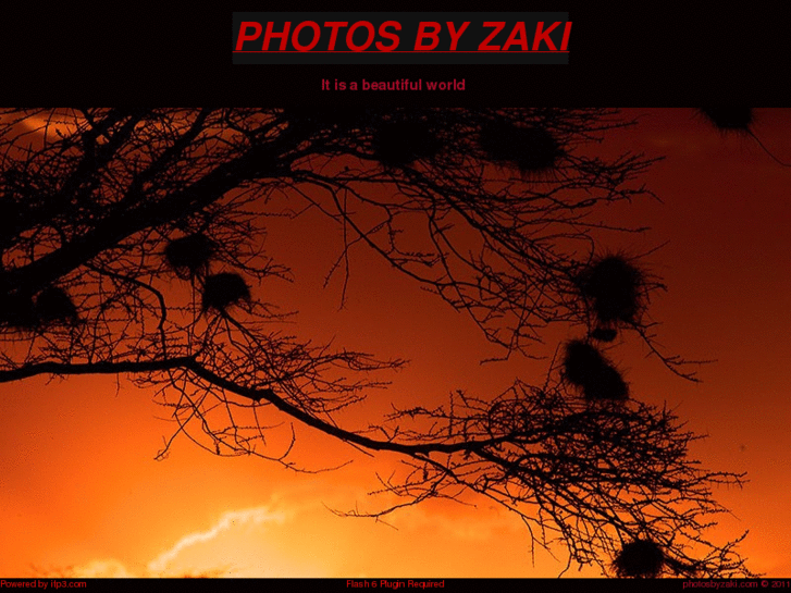 www.photosbyzaki.com