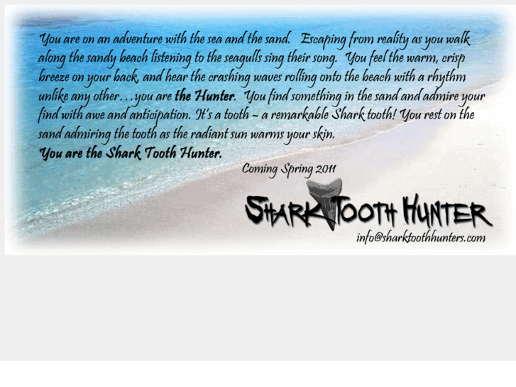 www.sharktoothhunters.com