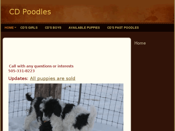 www.cdspoodles.com