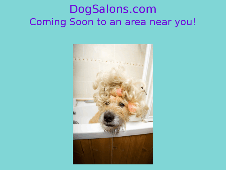 www.dogsalons.com