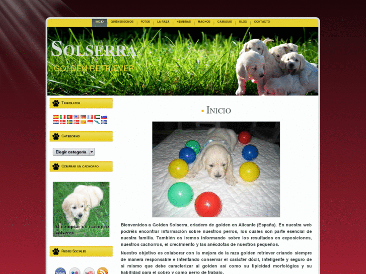 www.goldensolserra.com