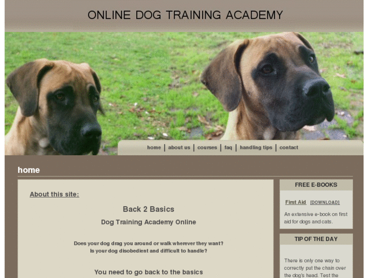 www.onlinedogtrainingacademy.com