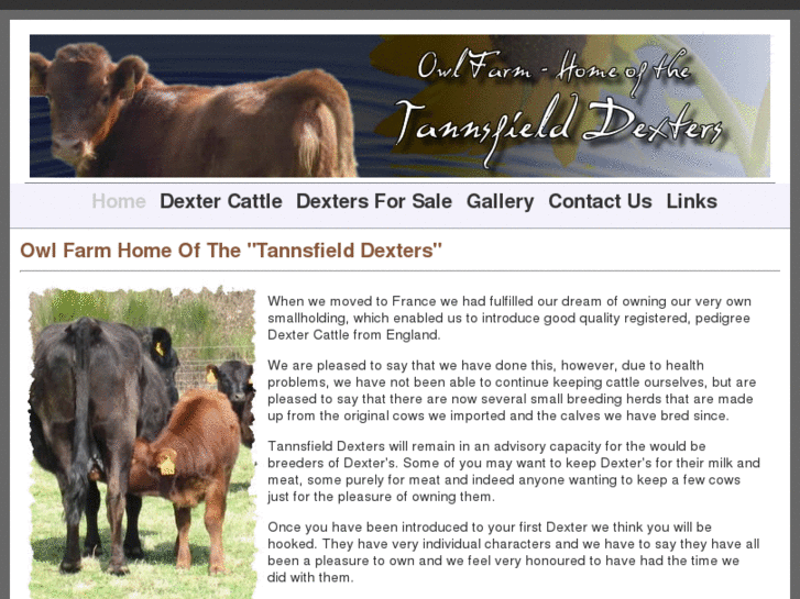 www.tannsfielddexters.com