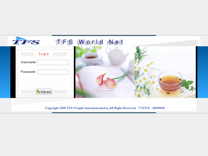 www.tfssvccn.com