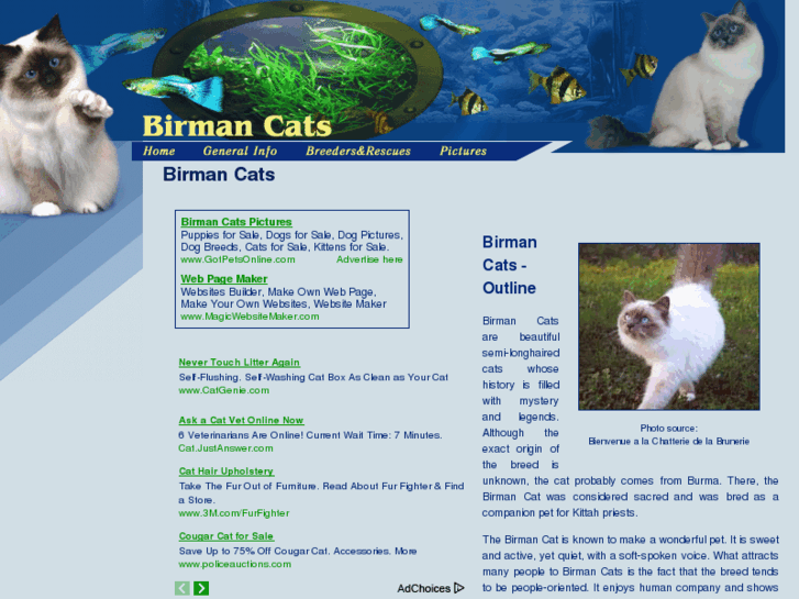 www.birman-cats.org