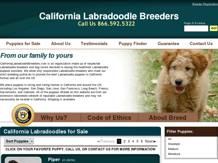 www.californialabradoodlebreeders.com