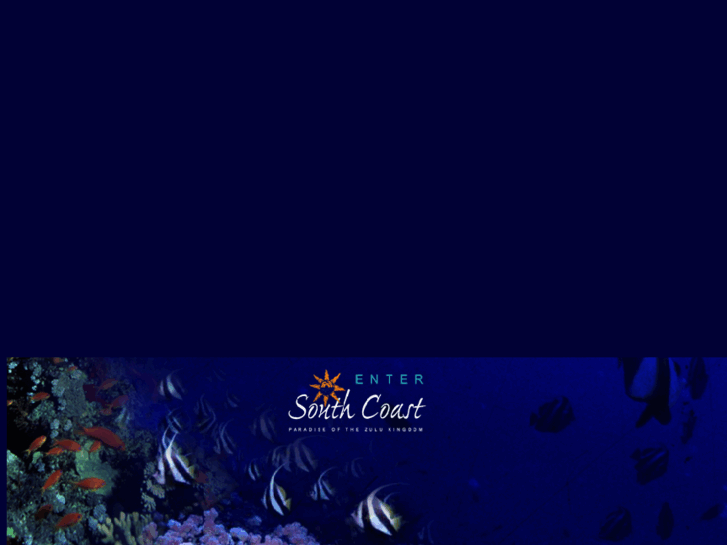 www.divedownsouth.co.za