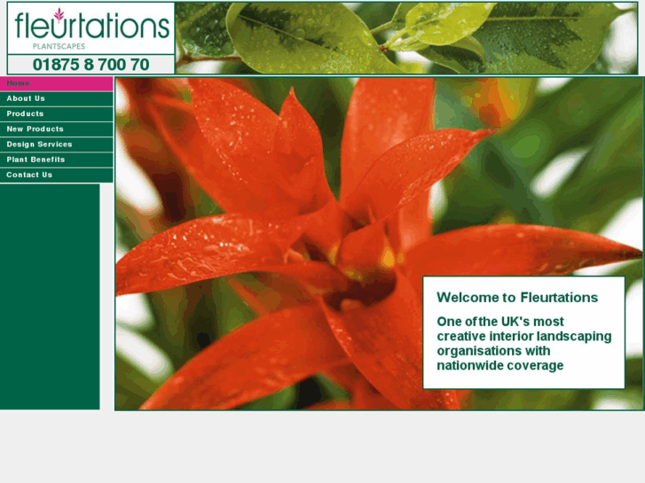 www.fleurtations.co.uk