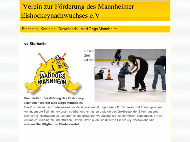 www.foerderverein-eishockey.de