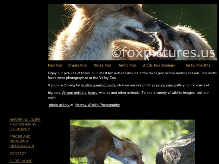 www.foxpictures.us