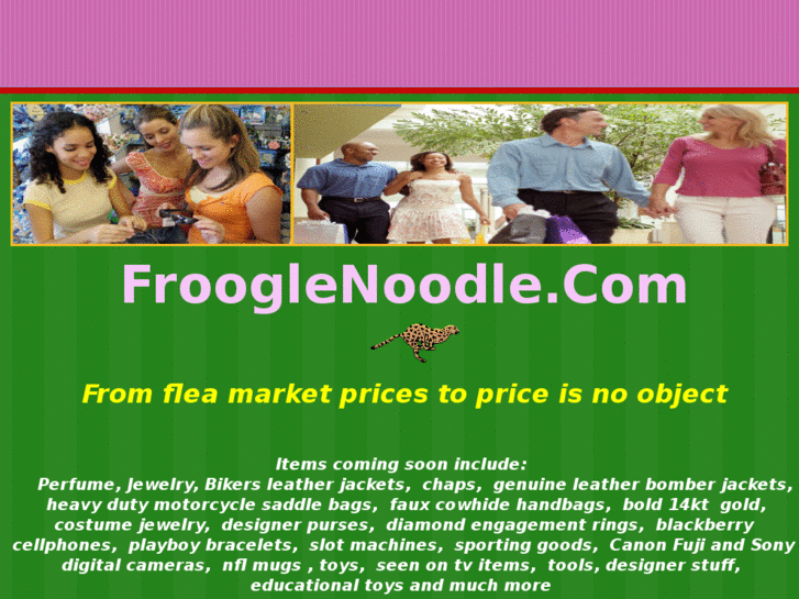 www.frooglenoodle.com