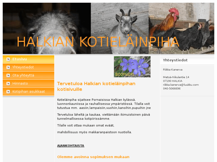 www.halkiankotielainpiha.com