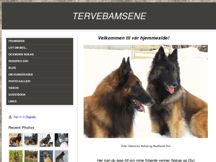 www.tervebamsen.com