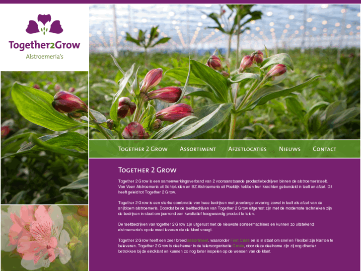 www.together2grow.nl