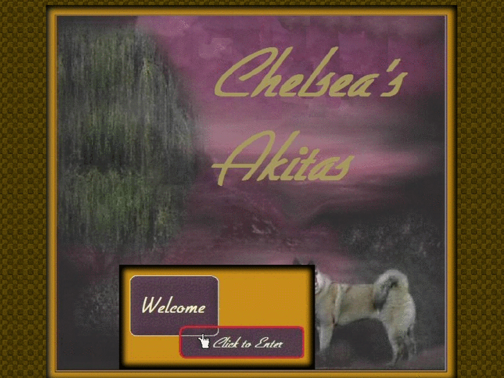 www.chelseasakitas.com