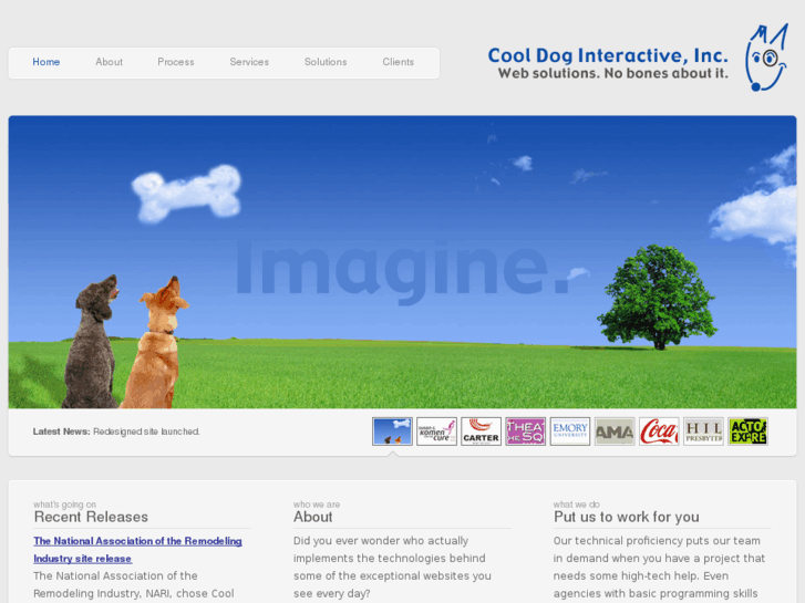 www.cooldoginteractive.com