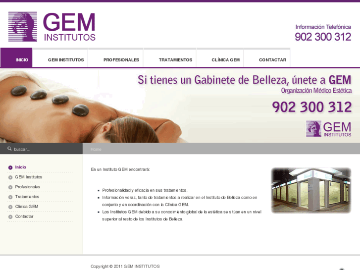 www.geminstitutos.com