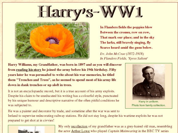 www.harrys-ww1.co.uk