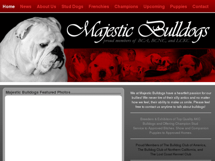 www.majesticbulldogs.com