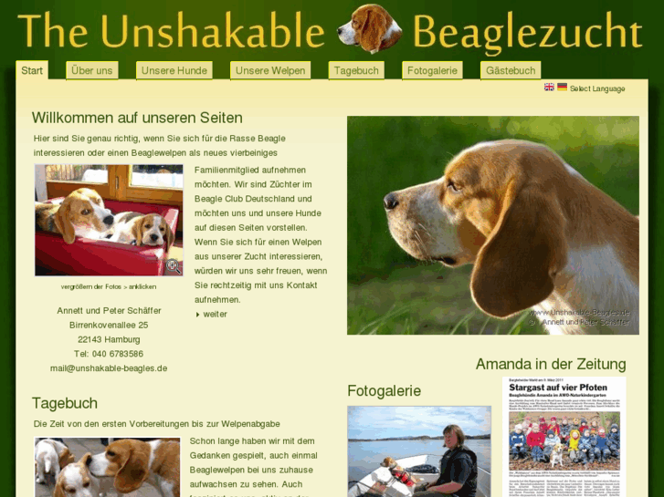 www.unshakable-beagles.de