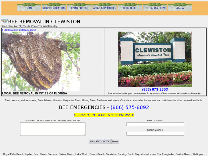 www.beeremovalclewiston.com