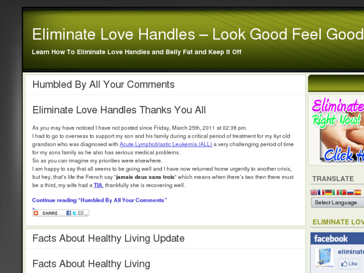 www.eliminate-love-handles.com