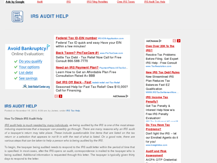 www.irsaudithelp.info