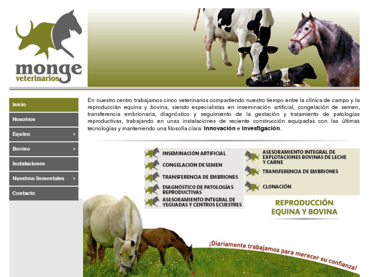 www.mongeveterinarios.com