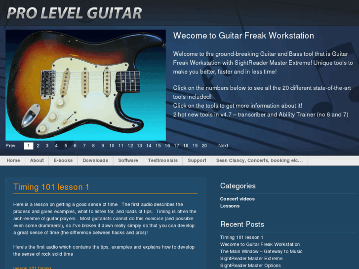 www.prolevelguitar.com