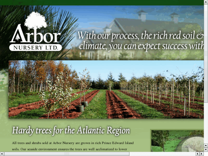 www.arbornursery.com