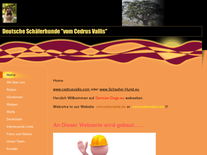 www.cedrusvallis.com