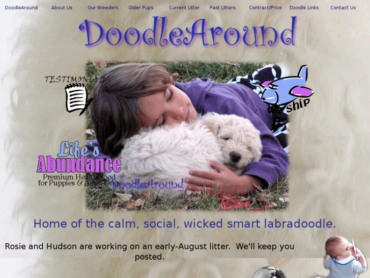 www.montanagoldendoodle.com