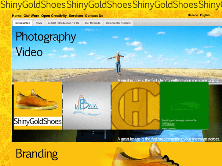 www.shinygoldshoes.com