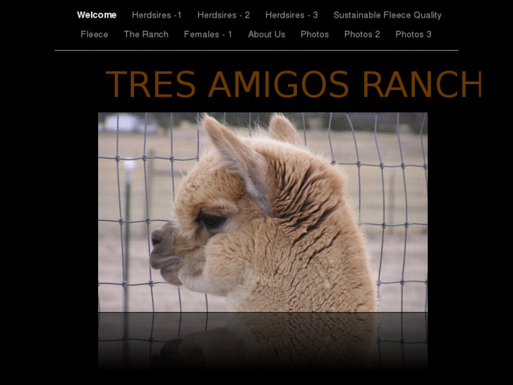 www.tresamigosranch.com