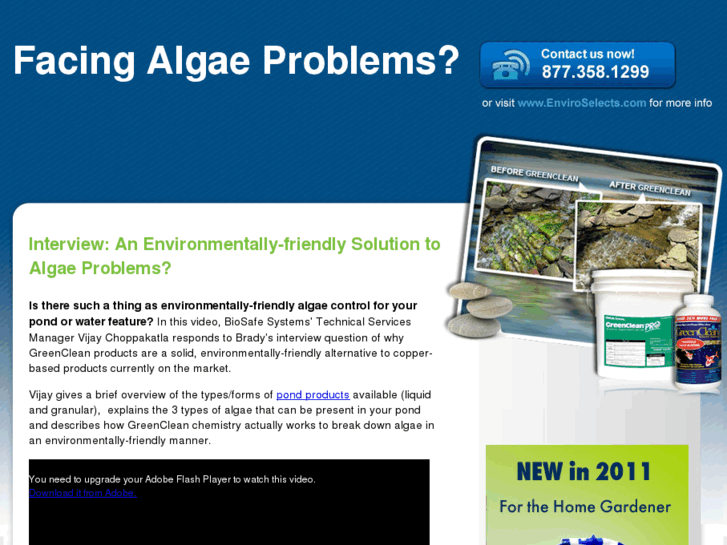 www.algae-problems.info