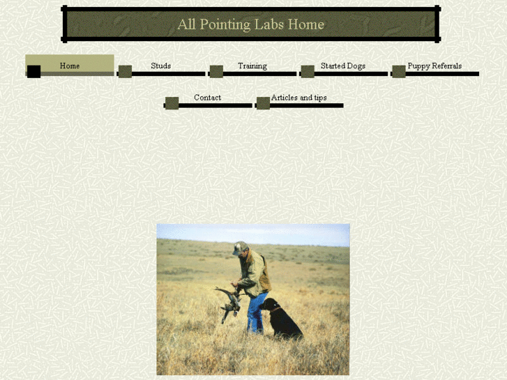 www.allpointinglabs.com
