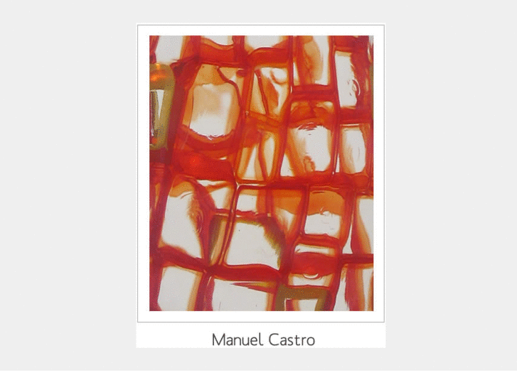 www.manuelcastroglass.com