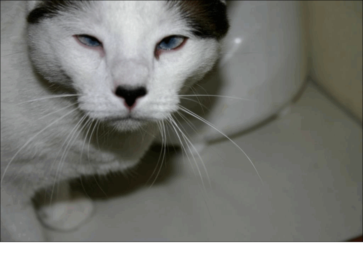 www.pwncat.com