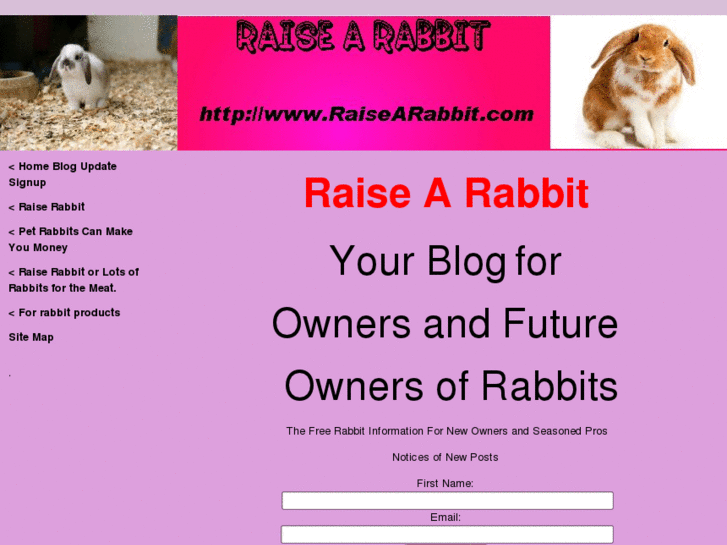 www.raisearabbit.com