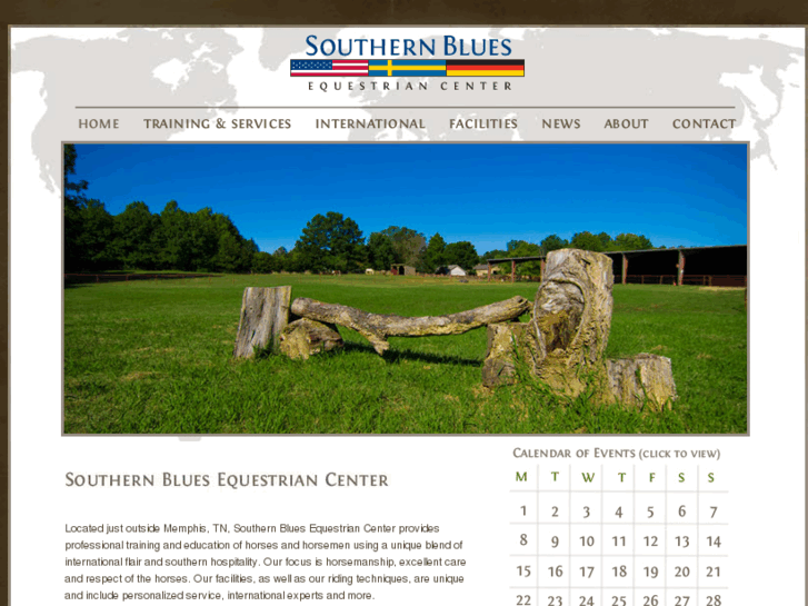 www.southernbluesequestrian.com