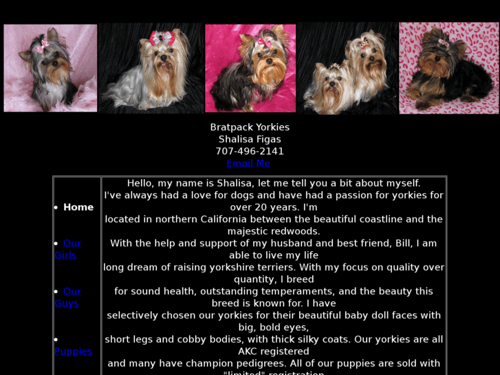 www.bratpackyorkies.com