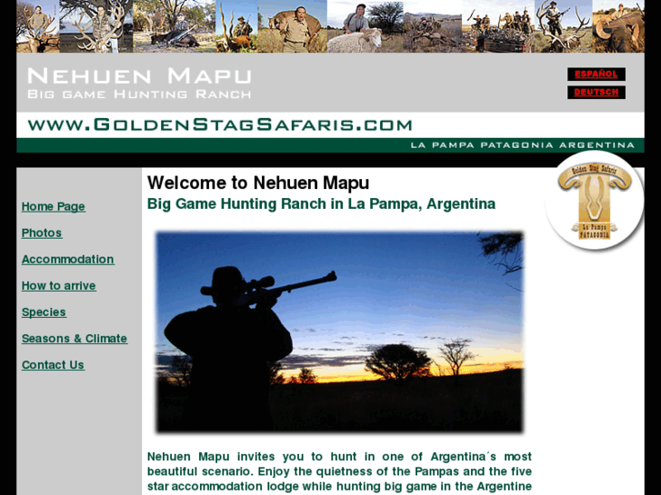 www.goldenstagsafaris.com